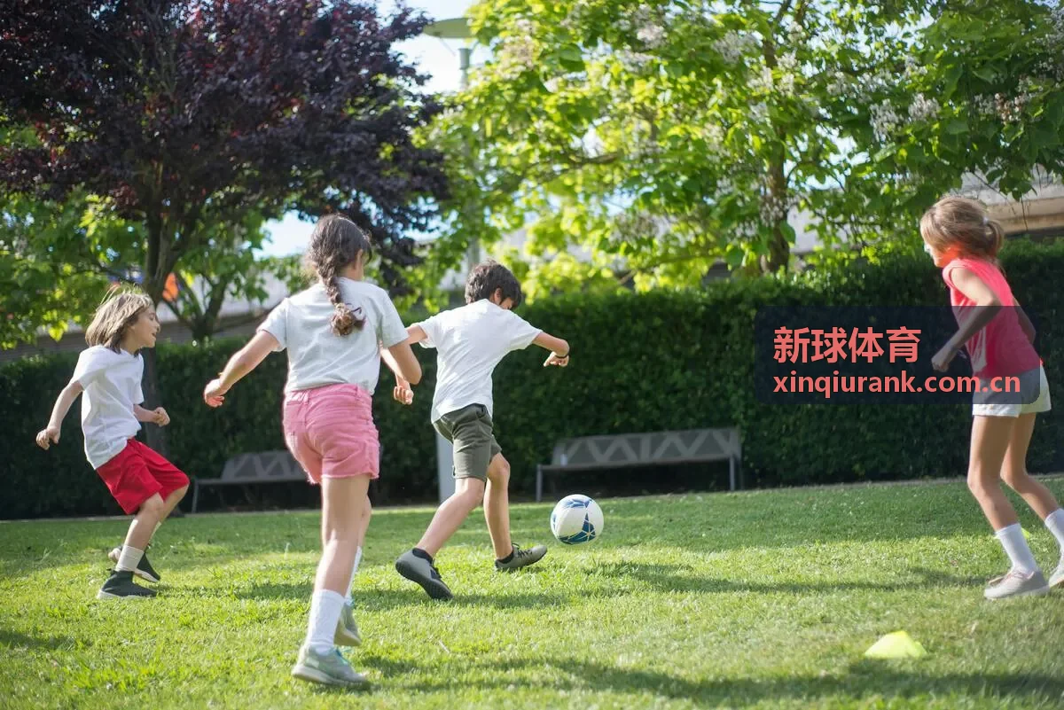 新球体育中超入口